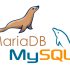 Abrir archivo .IBD con MySQL